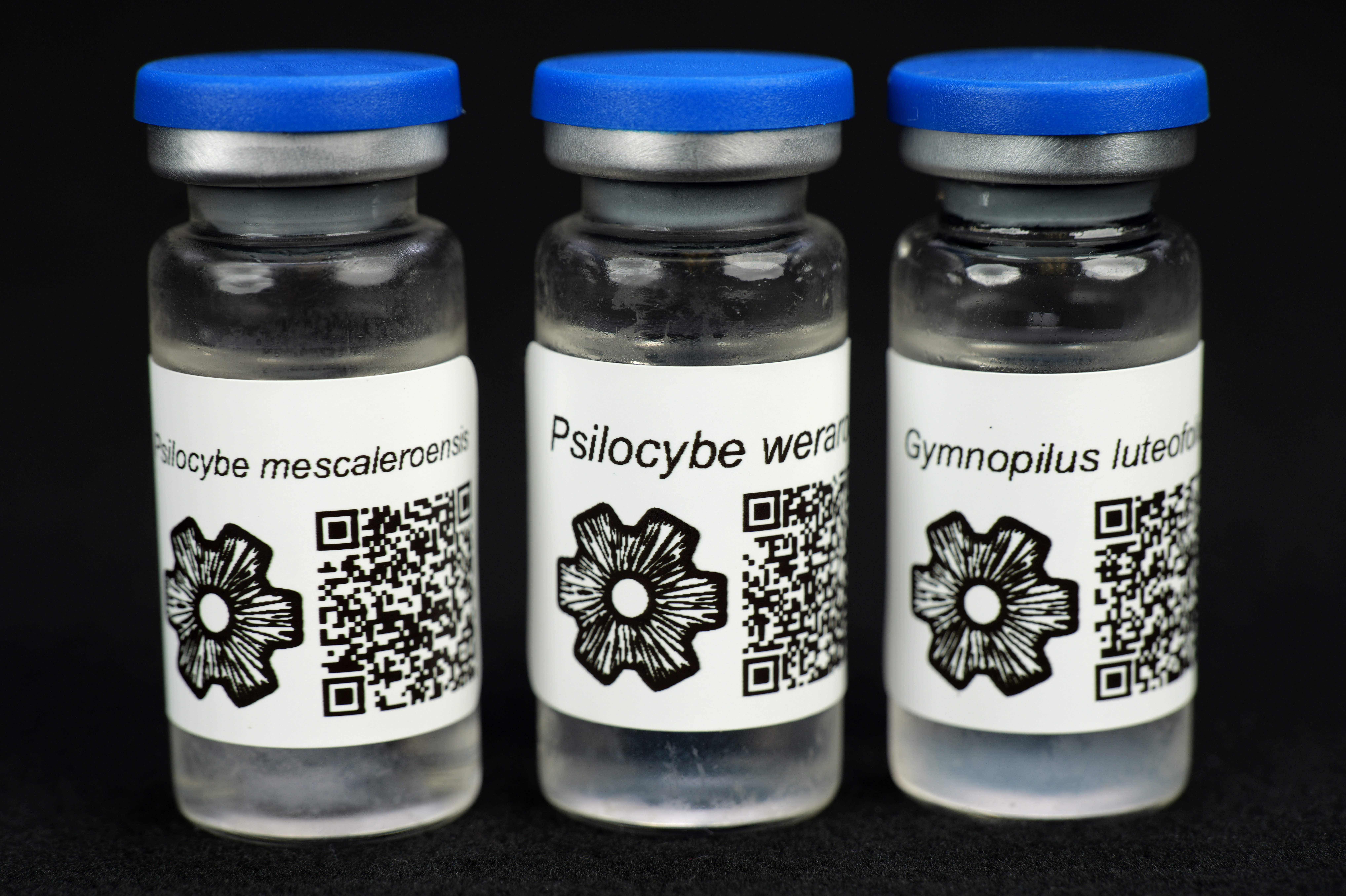 3-Pack Customer's Choice : MycoTrue(TM) Isolate Vials